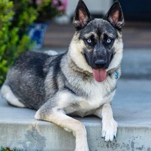 Meet your Posher, Gary